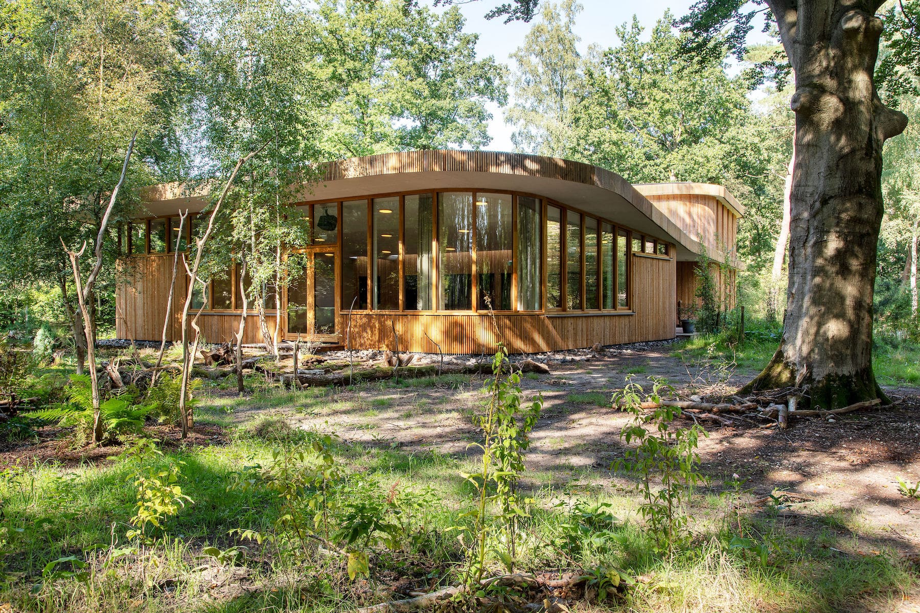 My Life studio | workshop heel jezelf